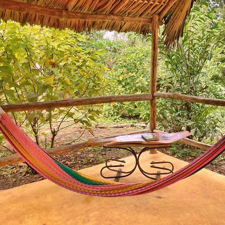 Encantadora Villa Maya Tradicional En Rancho Agroecologico Tzucacab Exterior photo