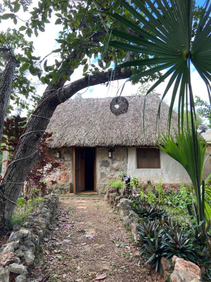 Encantadora Villa Maya Tradicional En Rancho Agroecologico Tzucacab Exterior photo