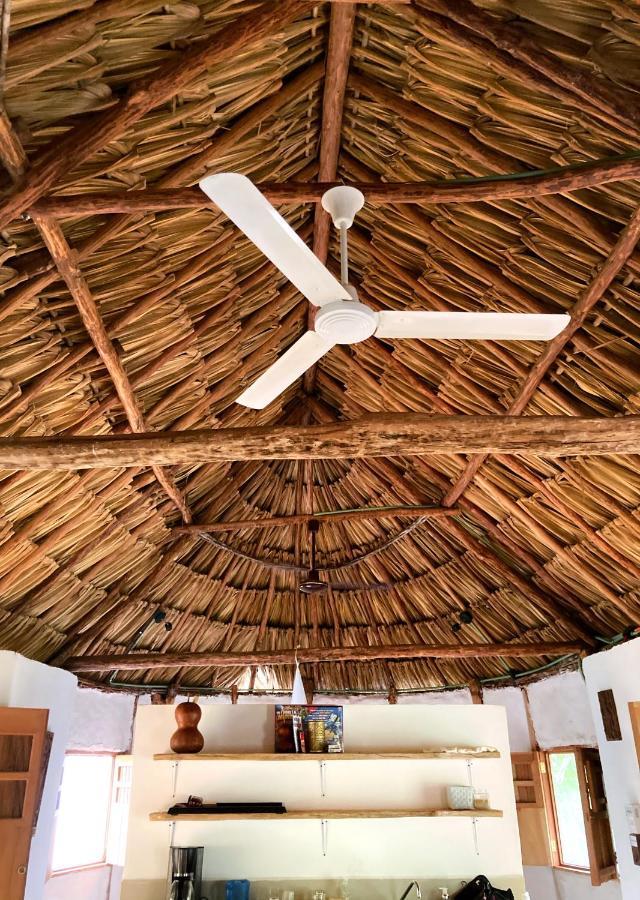 Encantadora Villa Maya Tradicional En Rancho Agroecologico Tzucacab Exterior photo