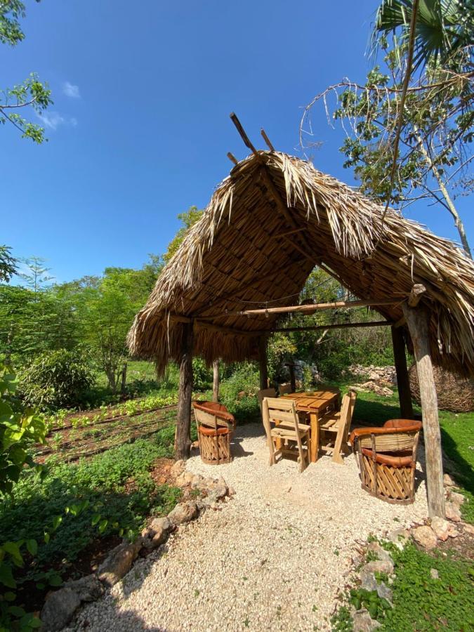 Encantadora Villa Maya Tradicional En Rancho Agroecologico Tzucacab Exterior photo