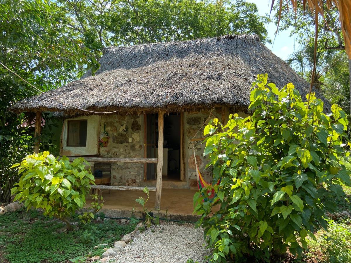 Encantadora Villa Maya Tradicional En Rancho Agroecologico Tzucacab Exterior photo