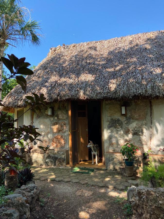 Encantadora Villa Maya Tradicional En Rancho Agroecologico Tzucacab Exterior photo