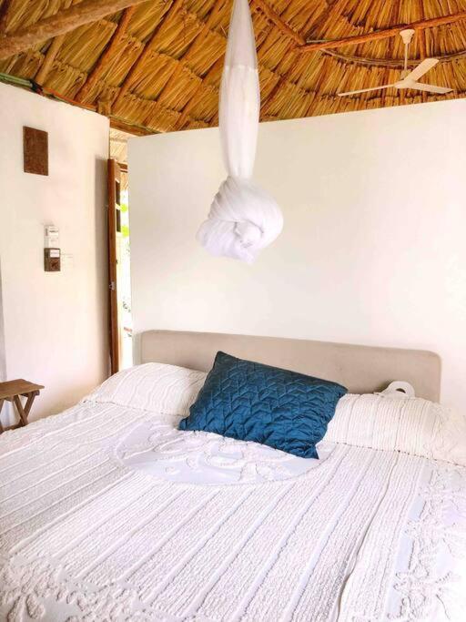 Encantadora Villa Maya Tradicional En Rancho Agroecologico Tzucacab Exterior photo