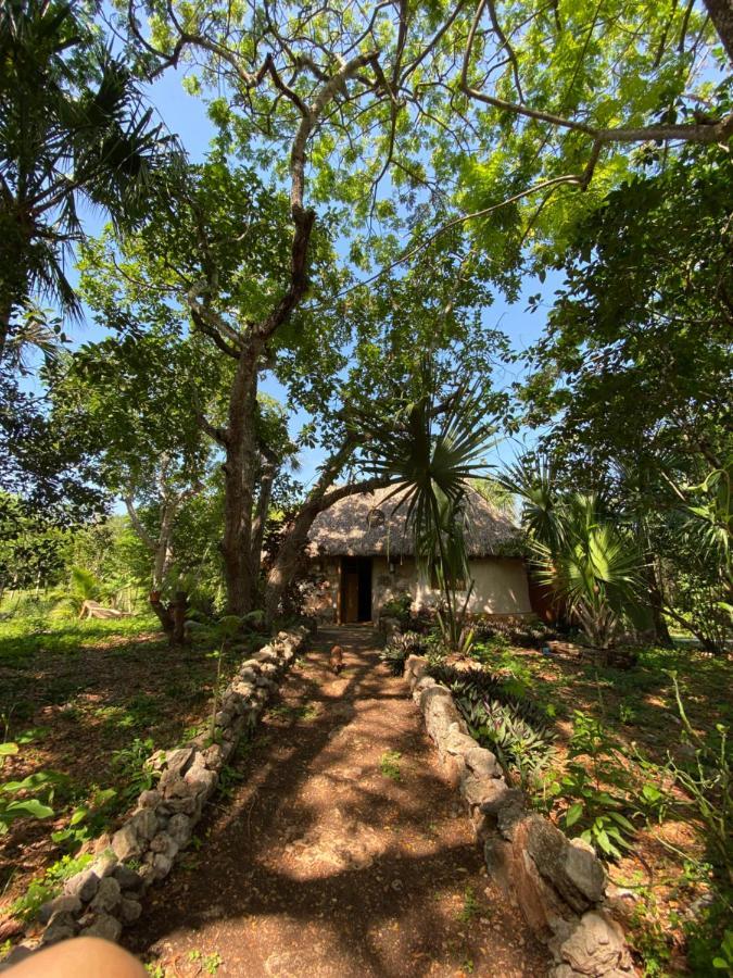 Encantadora Villa Maya Tradicional En Rancho Agroecologico Tzucacab Exterior photo