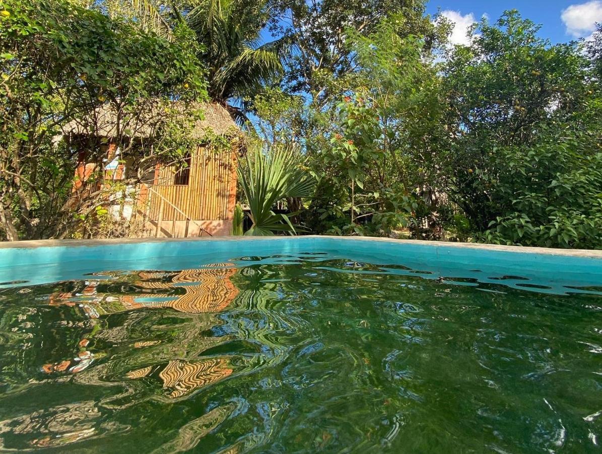 Encantadora Villa Maya Tradicional En Rancho Agroecologico Tzucacab Exterior photo