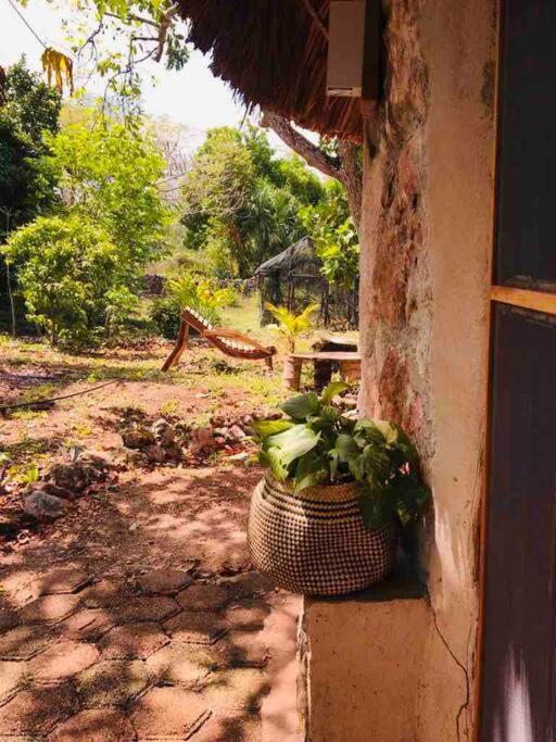 Encantadora Villa Maya Tradicional En Rancho Agroecologico Tzucacab Exterior photo