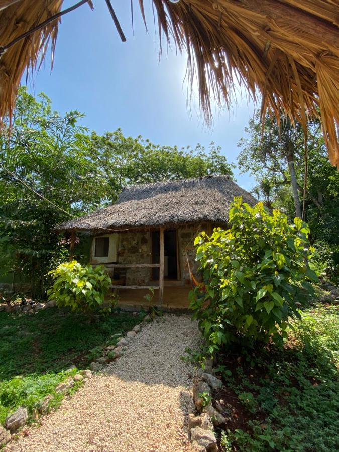 Encantadora Villa Maya Tradicional En Rancho Agroecologico Tzucacab Exterior photo