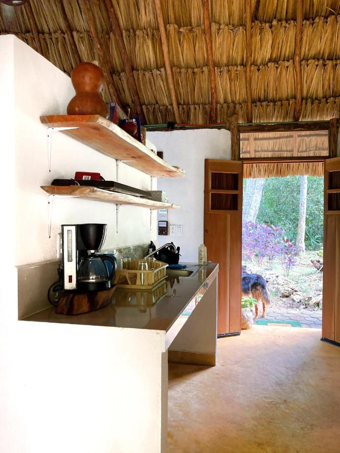 Encantadora Villa Maya Tradicional En Rancho Agroecologico Tzucacab Exterior photo