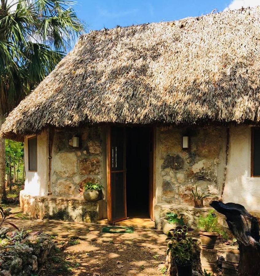 Encantadora Villa Maya Tradicional En Rancho Agroecologico Tzucacab Exterior photo