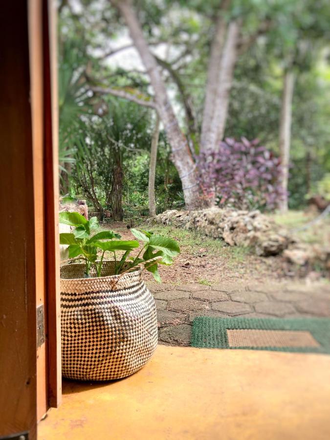 Encantadora Villa Maya Tradicional En Rancho Agroecologico Tzucacab Exterior photo