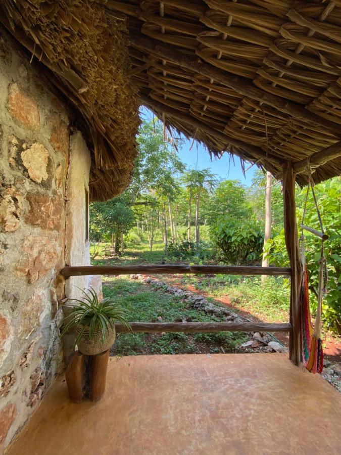 Encantadora Villa Maya Tradicional En Rancho Agroecologico Tzucacab Exterior photo